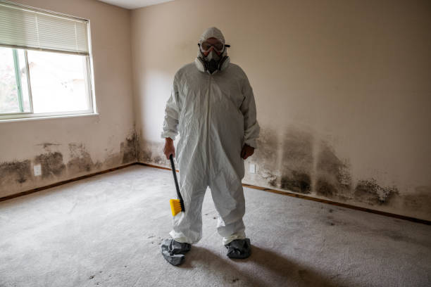 Office Mold Removal Services in New Albany, OH